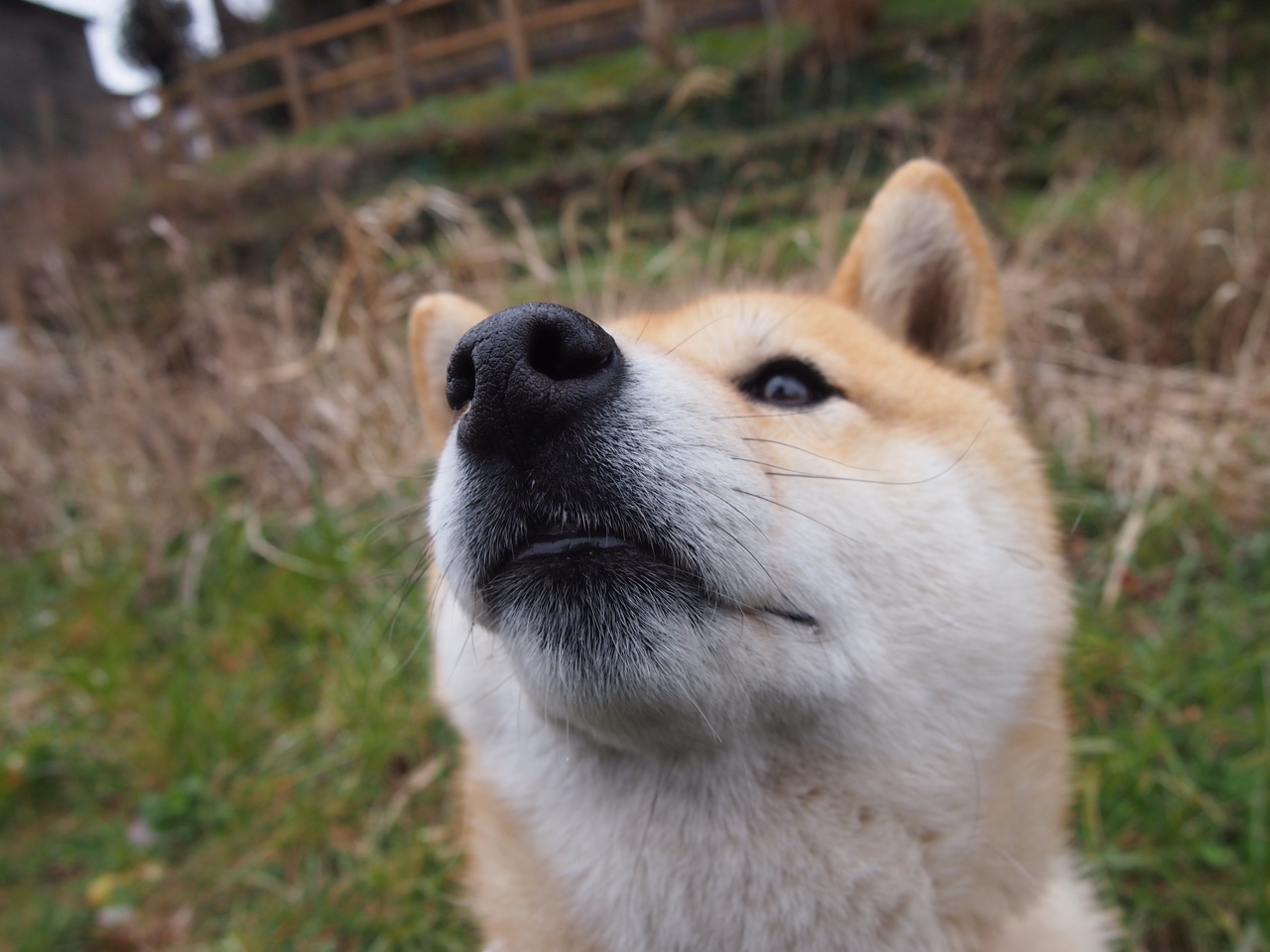 开云体育入口-751.“青春启航”青少年篮球体验营在武汉拉开帷幕，推动全民健身