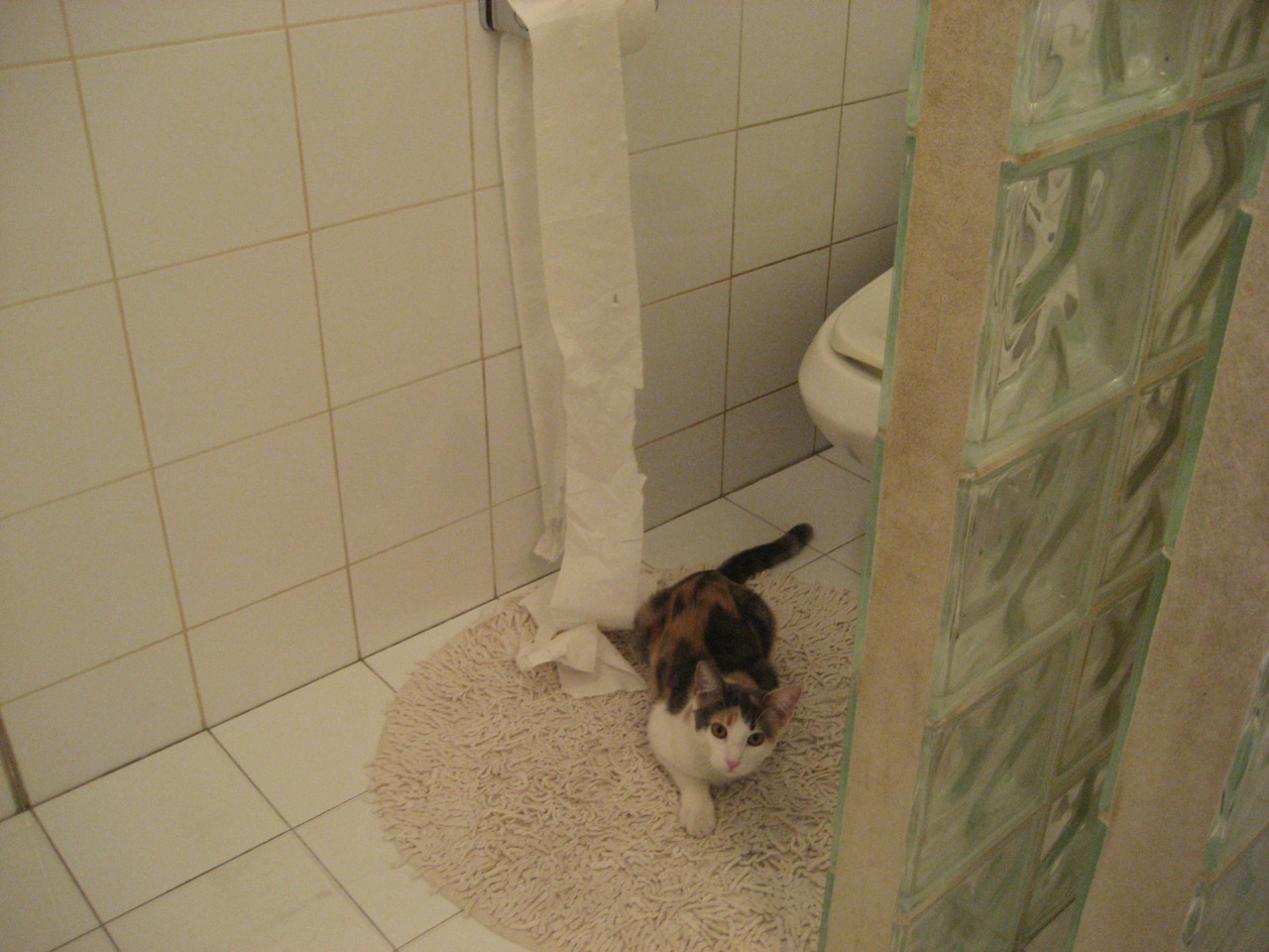 开云官网首页-C罗续约利雅得胜利，继续征战沙特联赛，c罗续约合同