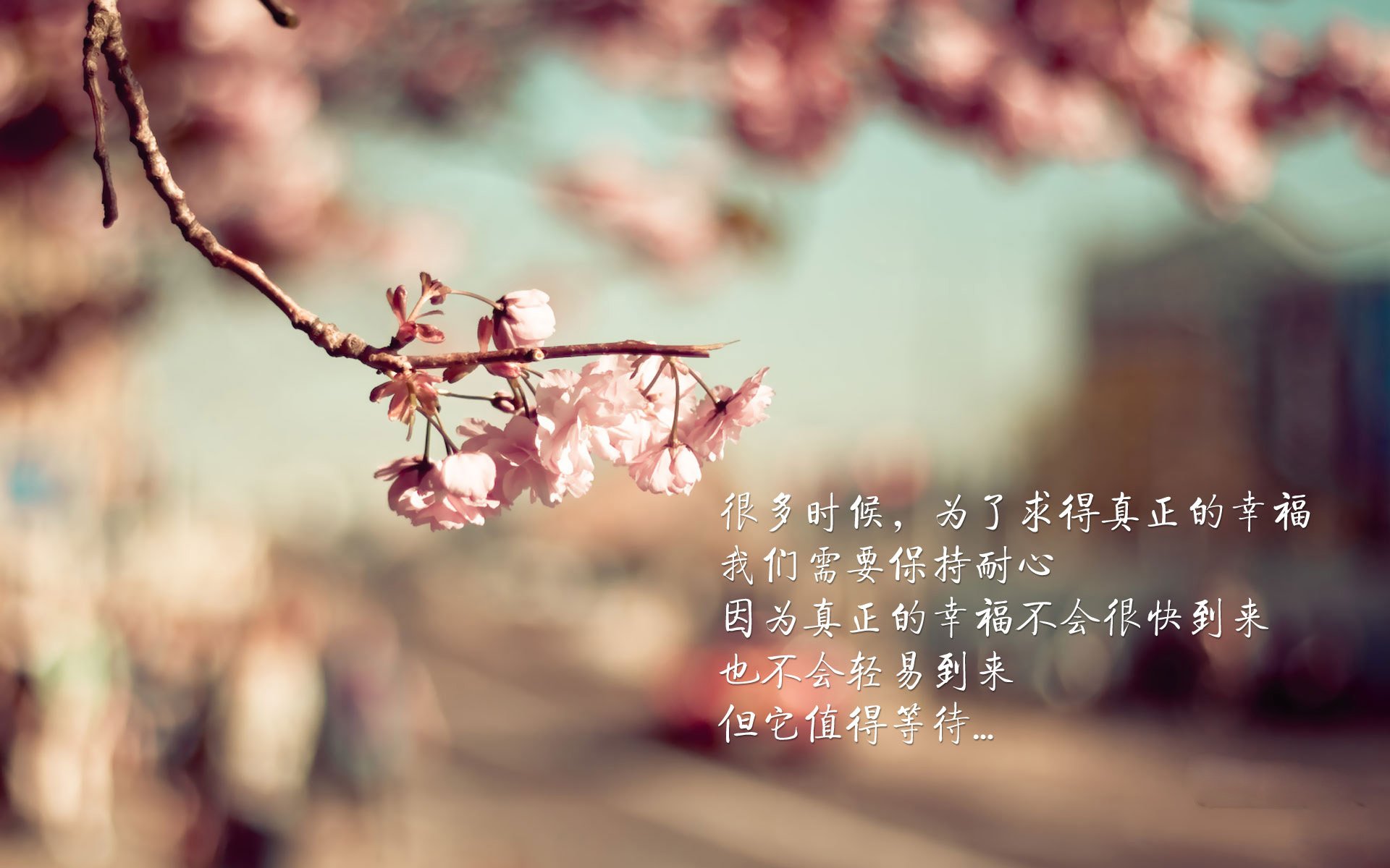 开云体育官方入口-_勇士队团队合作再升级，战斗力提升_，勇士队伍